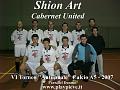 Shion Art - Cabernet Un